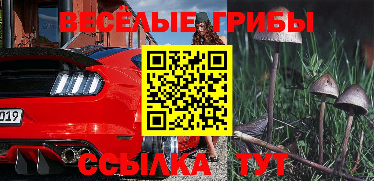 Курган  Галлюциногенные грибы Magic Shrooms  Псилоцибиновые грибы GOLDEN TEACHER  Вход с VPN 